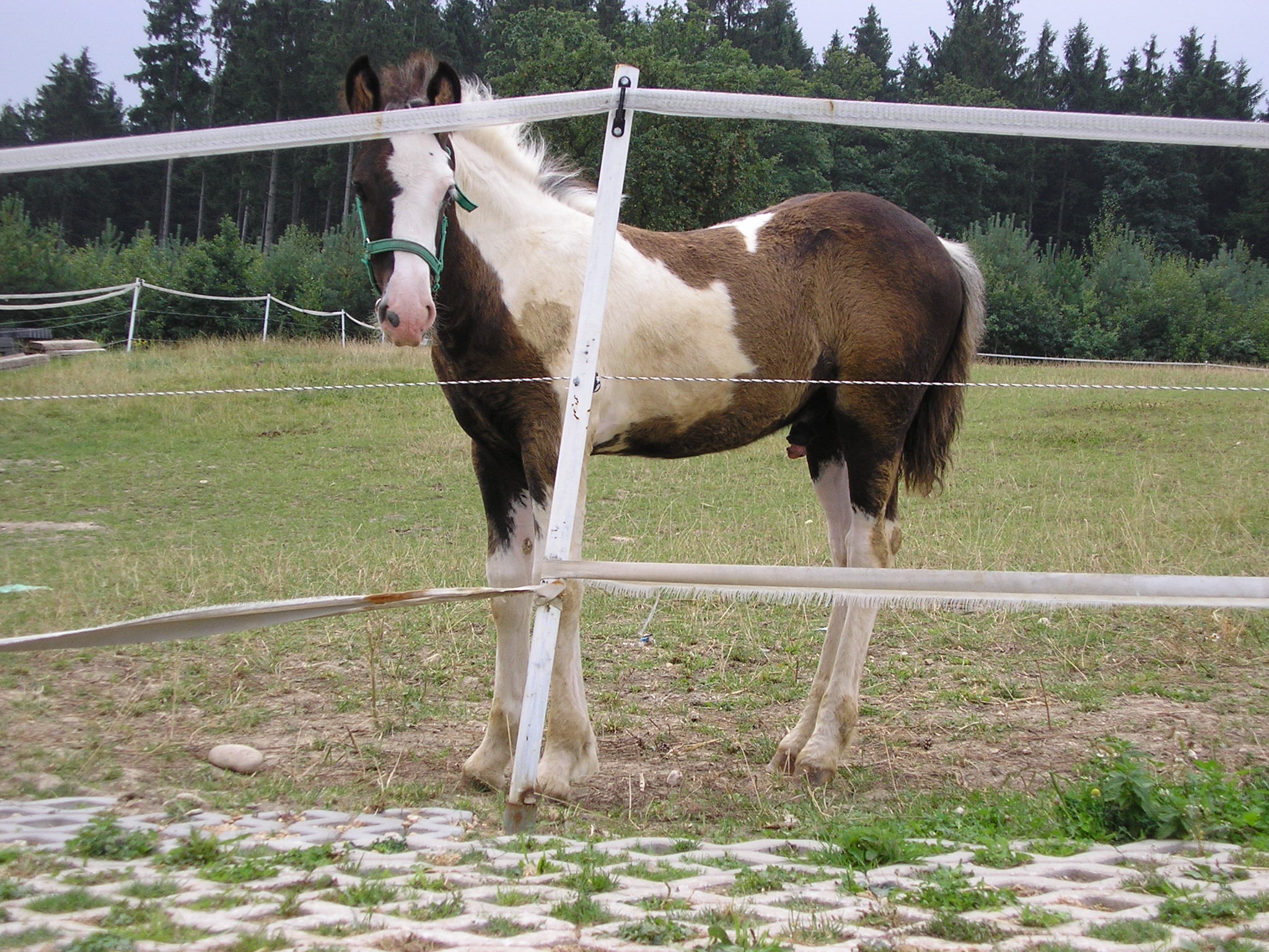 Pozoruje mě